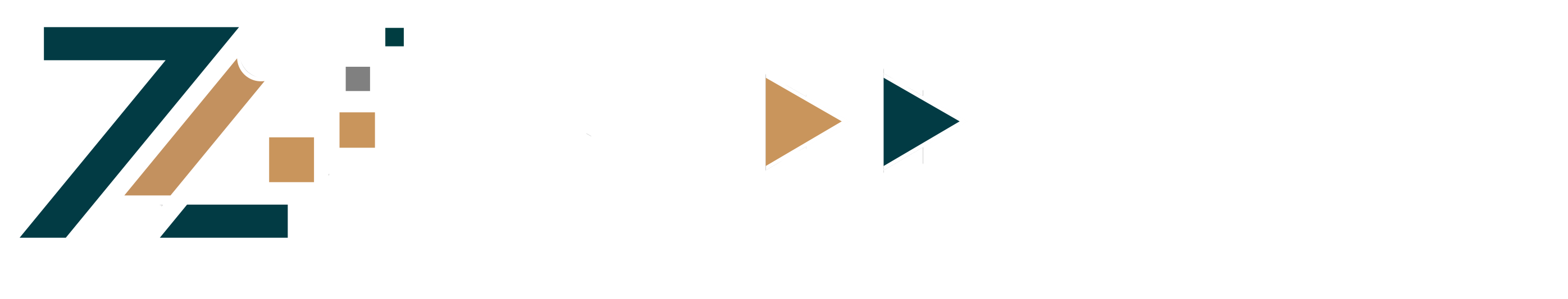 Zi Centeral logo